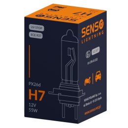 SENSO H7 12V x10 sztuk